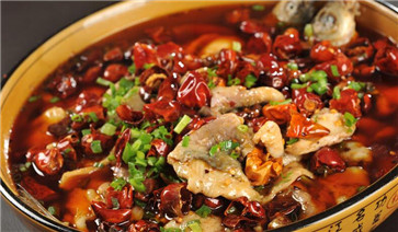 麻辣水煮魚調料怎么用